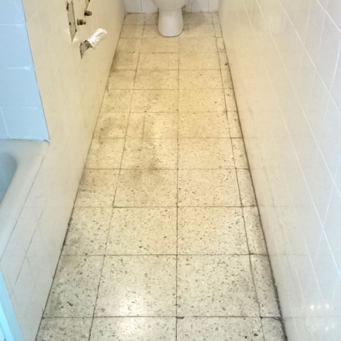 Baño de Terrazo (Antes)