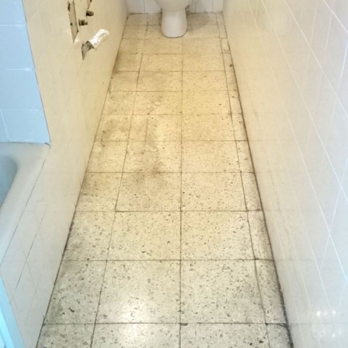 Baño de Terrazo (Antes)